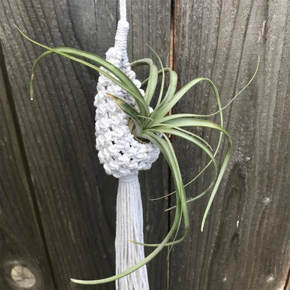 Air Planter Hanging Basket